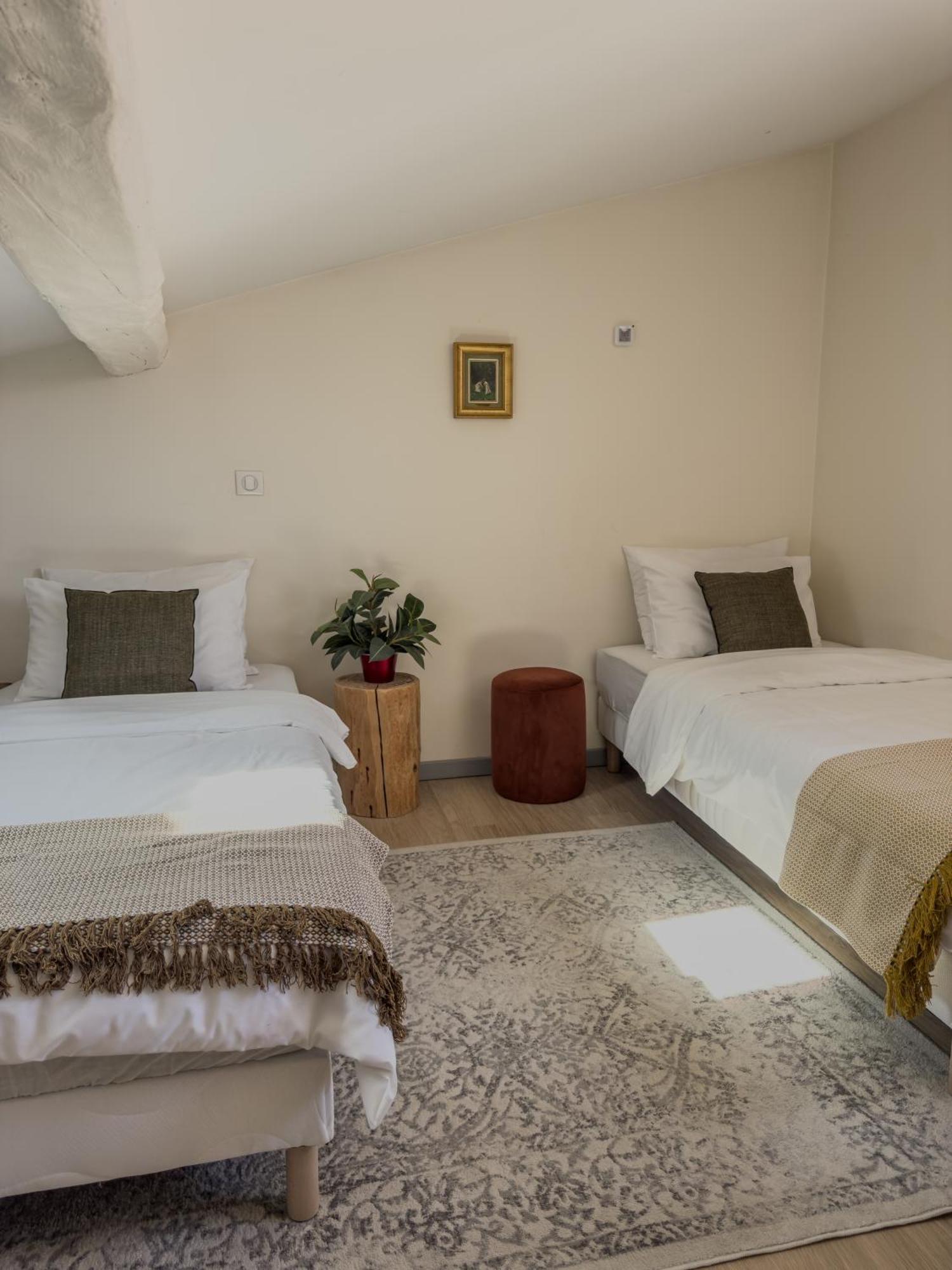 Duplex Lumineux 2 Chambres Centre Zone Pietonne Valence (Drome) Exterior foto